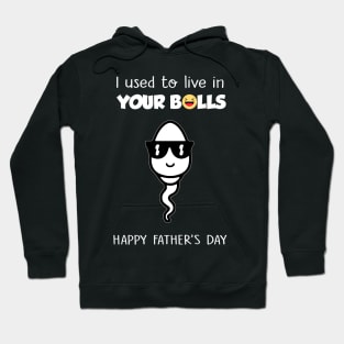 I Used To Live In Your Balls Funny Son Happy Father's Day Hoodie